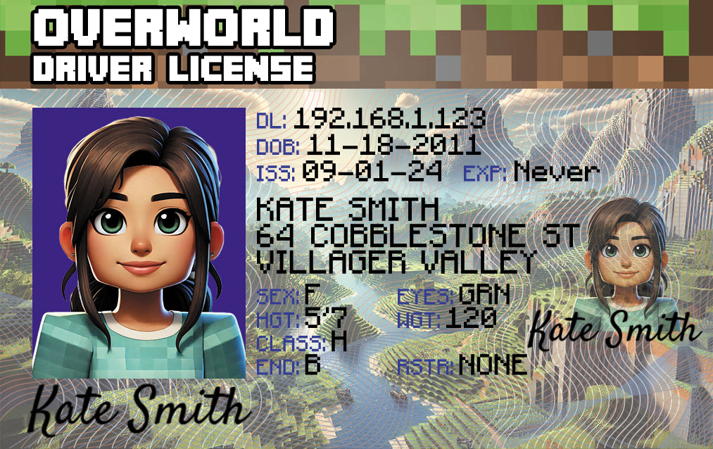 Overworld Driver License