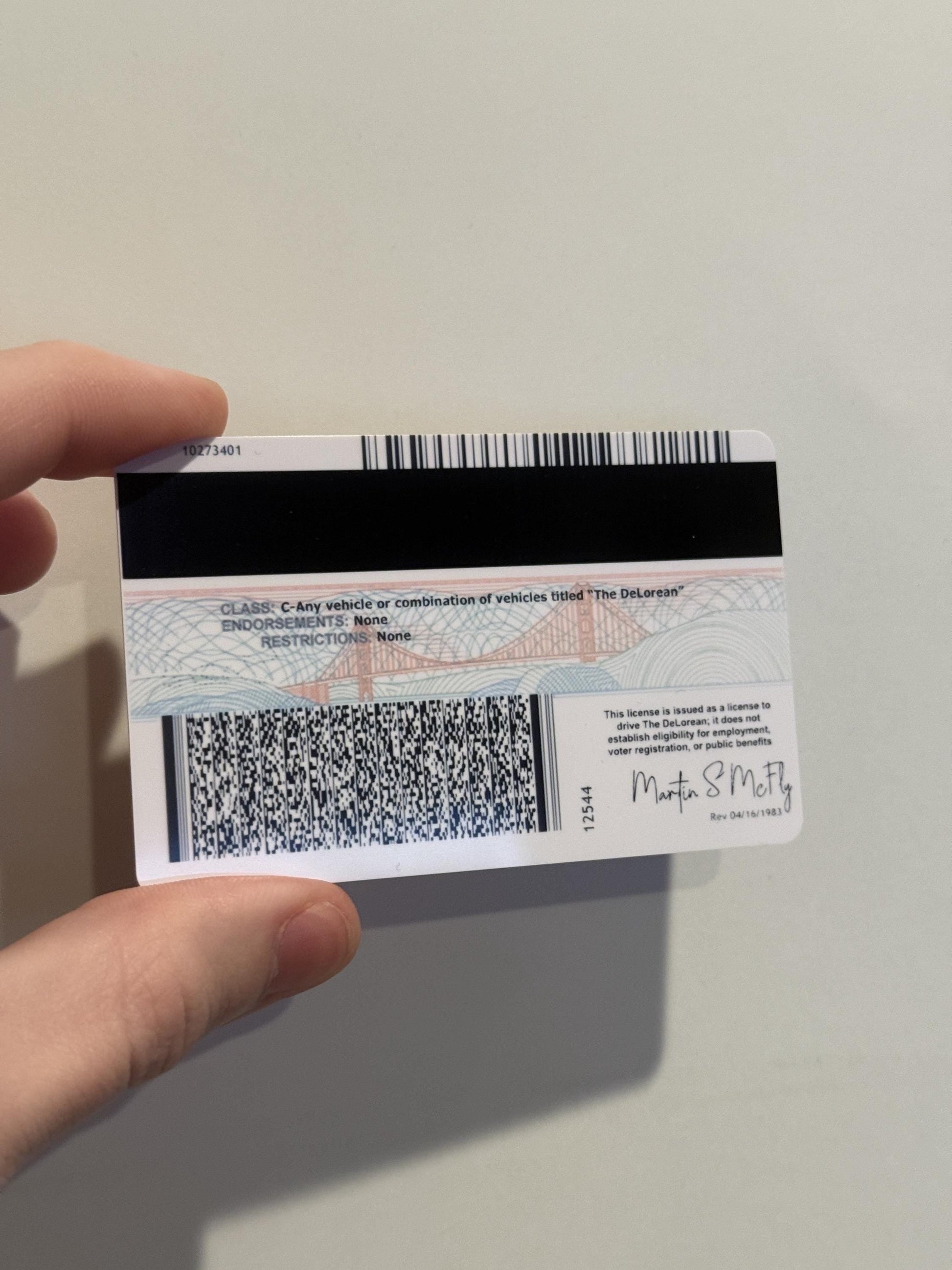 Back view of Marty McFly–inspired custom PVC card with holographic detail, credit-card size plastic insert