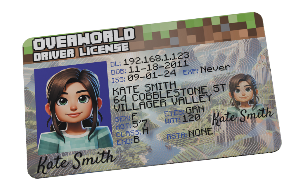 Overworld Driver License