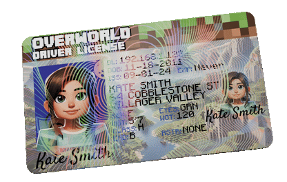 Overworld Driver License