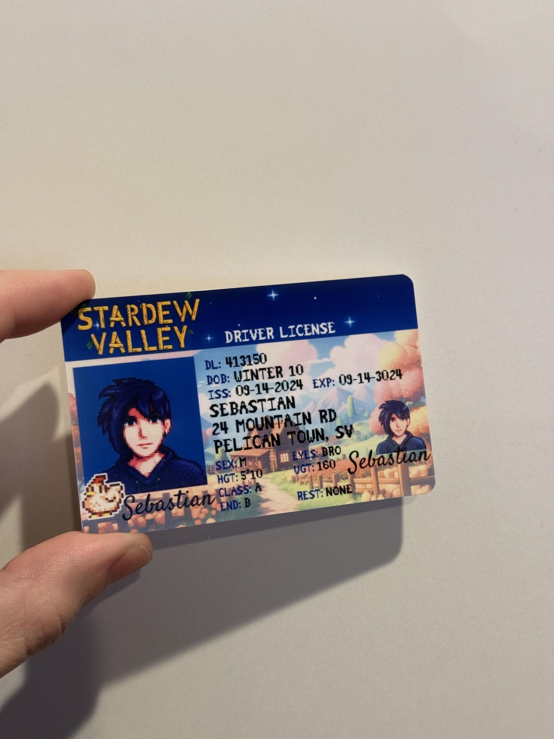 Pixel farming–style custom PVC card with holographic detail, credit-card size plastic insert